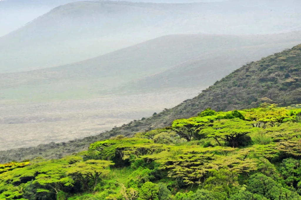 Ngorongoro landscape