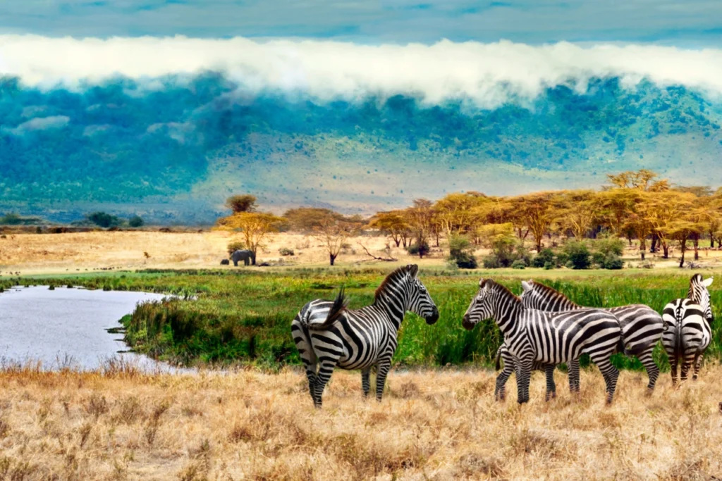 Ngorongoro landscape